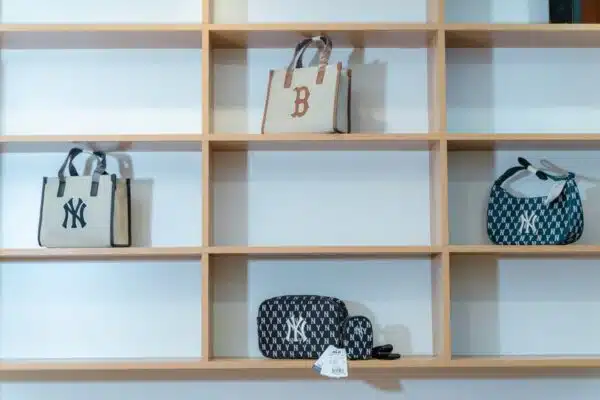 Des idées de rangement pratiques pour vos sacs à main dans votre dressing