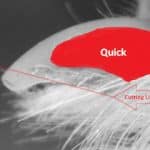 Comment enlever la corne autour des ongles des mains ?